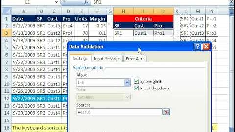 Excel Magic Trick 387: Data Validation Drop-Down List & Cell References