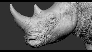 Rhino sculpting time lapse in Zbrush / Скульптинг носорога в ZBrush by Dmytro Teslenko CG 19,222 views 7 years ago 1 hour, 2 minutes