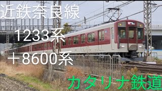 近鉄奈良線LED化改造した1233系1235F編成と8600系8609F編成