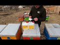 Лікувально-профілактичні засоби для бджільництва  Ентеронормін,Йодіс+Se. Бджільництво 2022