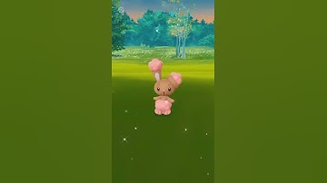 ✨Is this one shiny worth all of the other Shiny Sacrifices🔥 #shinyhunt #shorts #pokemongo