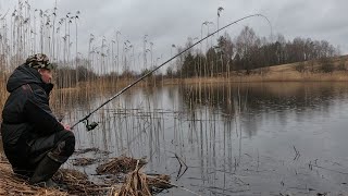 ЖИРНАЯ ПЛОТВА НА УДОЧКУ!!!РЫБАЛКА НА ПОПЛАВОК ВЕСНОЙ 2023.