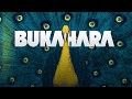 Bukahara  afraid no more official lyric