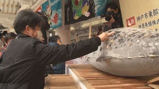 金運願いマグロにさい銭 兵庫・西宮神社に奉納