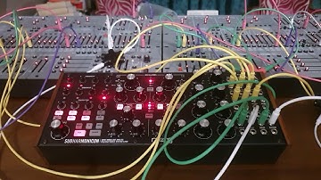 Moog SubHarmonicon & Behringer/ARP 2600 - FM sounds