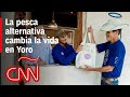 Pesca alternativa en Honduras aumenta los ingresos de pobladores de Yoro