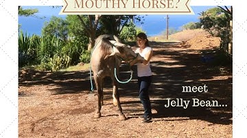 Handling a Mouthy/ Biting Horse
