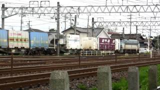 2009.8.2 EF66-30牽引コキ、貨物列車。