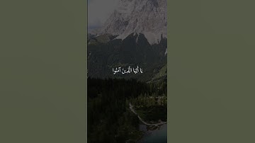 القارئ ماهر المعيقلي ﴿ إن اللَّهَ وملائكته يُصلُّون على النبي ﴾ | الصلاة على نَبِيْنَا مُحَمد ﷺ 🌹