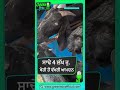 PUNJAB FARMERS: ਸਾਢੇ ਚਾਰ ਲੱਖ, ਖੇਤੀ ਤੋਂ ਵੱਖਰੀ ਆਮਦਨ