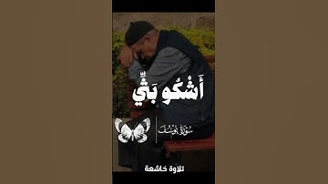 اكتب شئ تؤجر عليه ♥♥🦩|اسمع بقلبك هذا الجمال ❤|سوره يوسف|خالد الجليل #قران_كريم #قرآن #اسلاميات