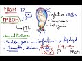 premature rupture of membranes