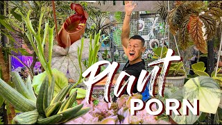 Unbelievable RARE Exotic and DIVERSE Plants FLOII exhibition Indonesia  | Preview 2024 Trends!