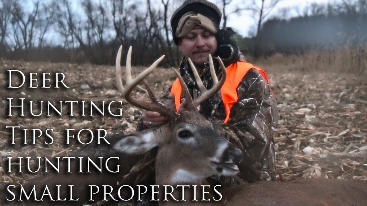Whitetail Deer Hunting Tips on How to Hunt Bucks on Small ... Whitetail Deer Hunting Tips on How to Hunt Bucks on Small ... - 1280 x 720 jpeg 147kB