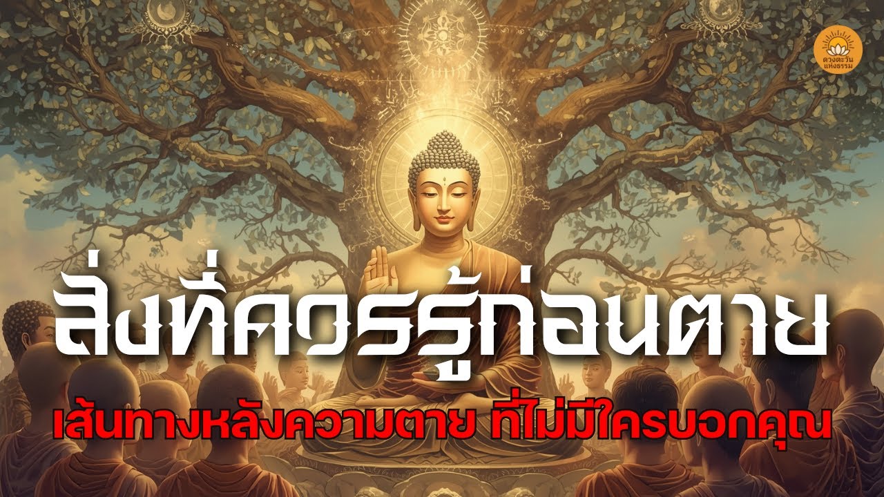 สิ่งที่ควรรู้ก่อนตาย เส้นทางหลังความตายที่ไม่มีใครบอกคุณ แต่พระพุทธเจ้าได้บอกไว้ชัด!