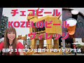 化石の顔