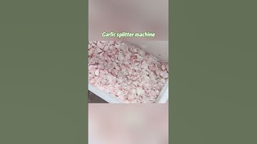 🚀 Gondor Horizontal Garlic Splitting Separator – Fast, Efficient & Hassle-Free! 🧄✨ #shortsvideo