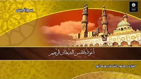 الشيخ محمود الشحات سوره يس رائعه