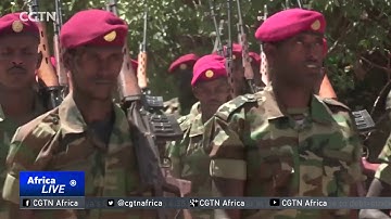 Mogadishu joins regional call for UN to lift Asmara sanctions