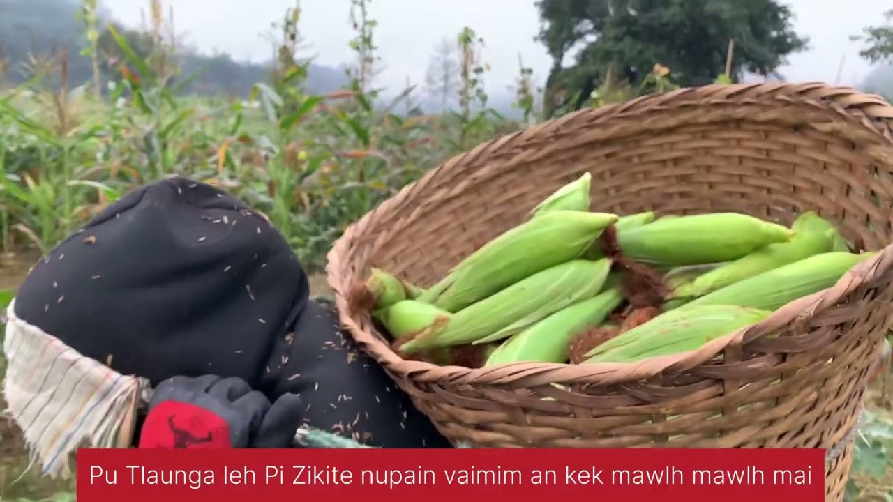 Nuai 10 chu kan la lut ve ang a-Nghaktluanga,Serchhip zawlpui (Vaivenga zau fanna part-VII)