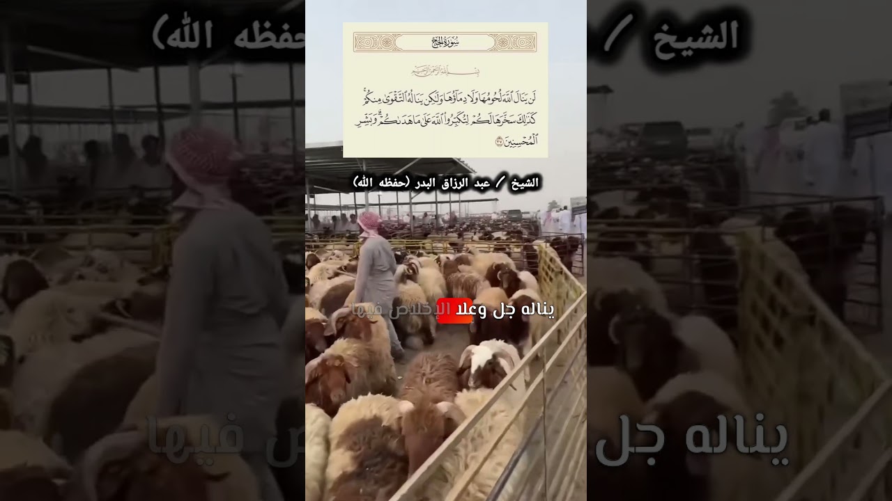 لن ينال الله لحومها ولا دماؤها ولكن يناله التقوى منكم | الشيخ عبد الرزاق البدر حفظه الله
