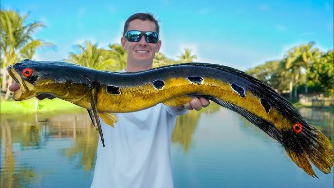 Monster Invasive Species Catch, Clean, & Cook! **Snakehead** 