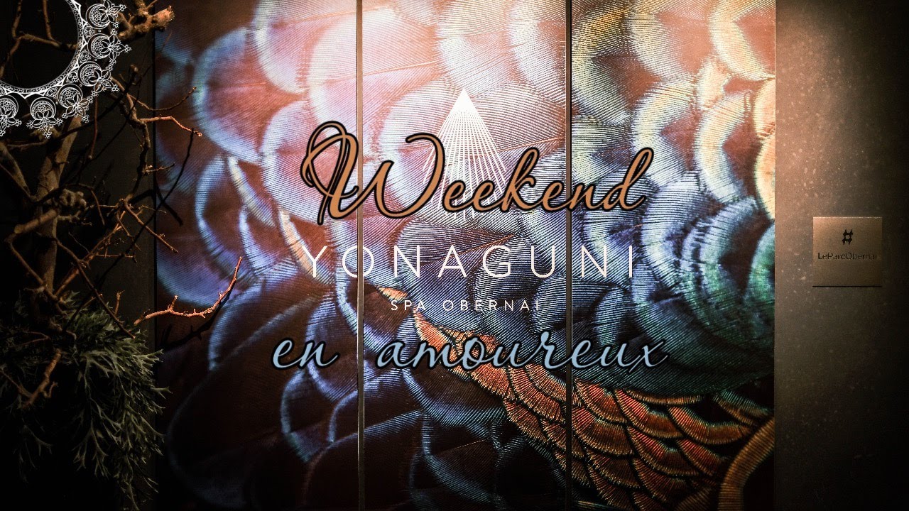 Weekend SPA en amoureux - Hôtel du Parc à Obernai