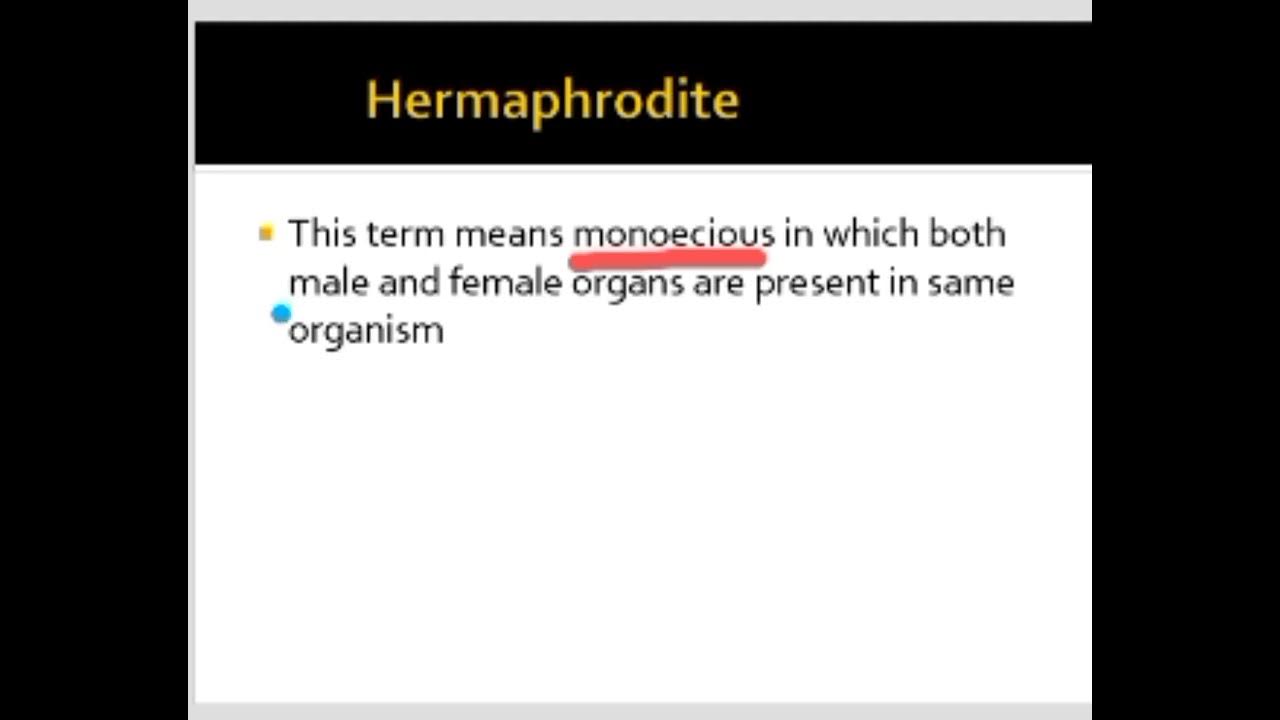 Do you know what is hermaphrodite ?? YouTube