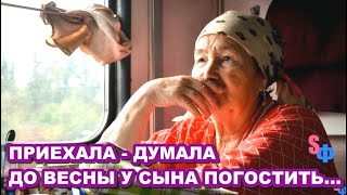 Приехала Марья из деревни к сыну в город - думала до весны у сына погостить, а хватило одного дня