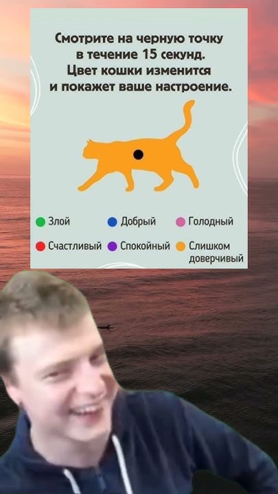 #мем - YouTube
