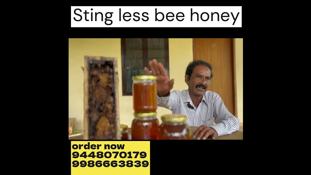 stingless bee honey 2023 |health benefits
