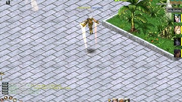 Conquer Online bug use