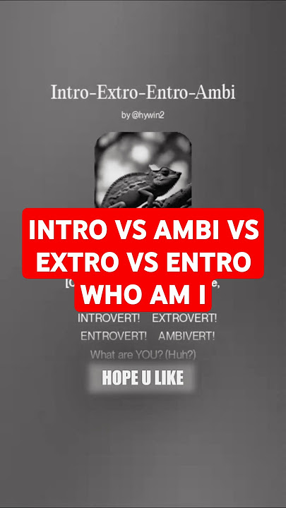 INTROVERT VS AMBIVERT VS EXTROVERT VS ENTROVERT
