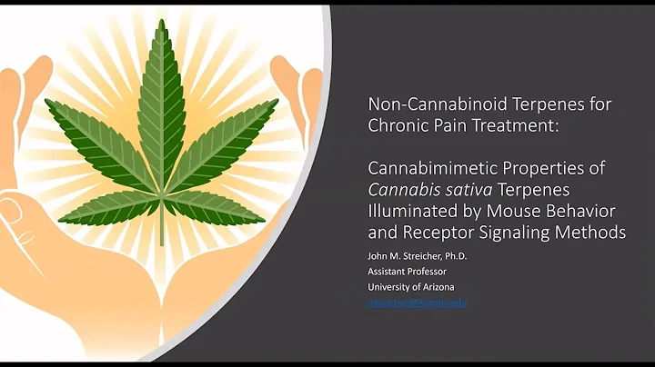 Non-Cannabinoid Terpenes for Chronic Pain Treatmen...