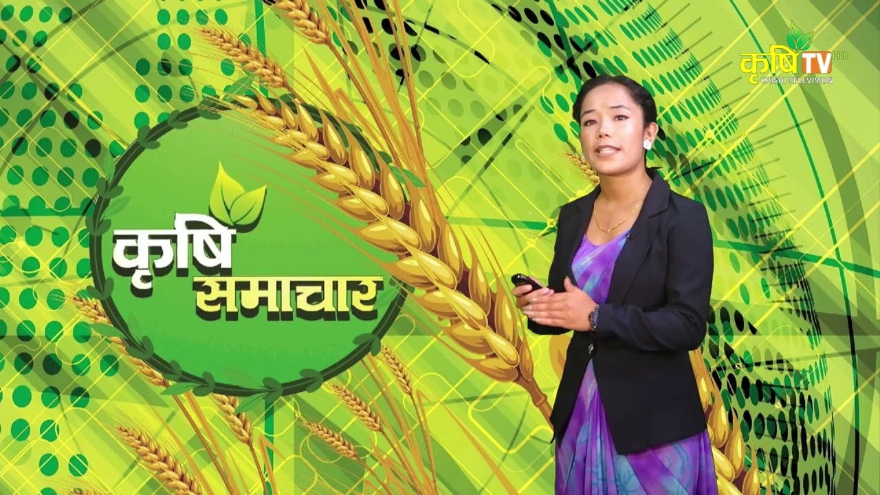 आजका देशभरका कृषि समाचार || Krishi Television HD