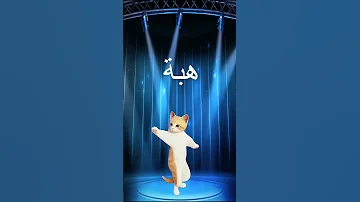 الاكثر طلبا والأحدث اسم هبه تيك توك 