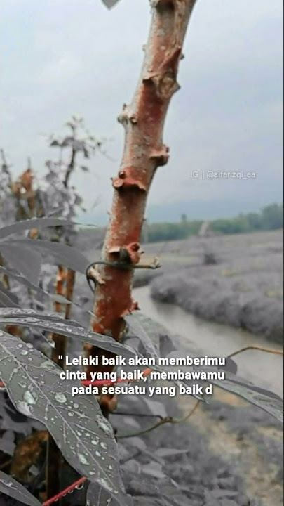Story WA▪Sholawat Robbi Inni 30 detik