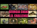 How well do you know Georgia snakes?