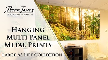Hanging "Large As Life" Multi Panel Metal Prints