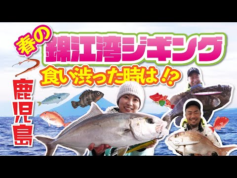 春の錦江湾ジギング　喰い渋りにはフォールスピードがキモ！？