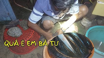 Cắm câu cá lóc Trúng đậm khi trời mưa | Hương Quê Bạc Liêu | T37