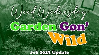 Garden Gon' Wild! - Feb 2023 Indoor Grow Update