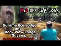 Surama Eco Lodge and Rock View Lodge Guyana