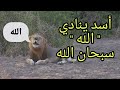 لن تصدق حيوانات تذكر إسم الله... لكن شاهد لماذا سبحان الله!!