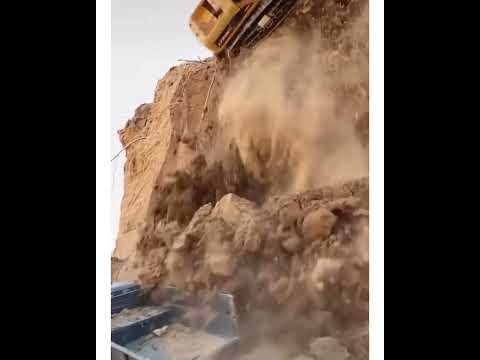 #tiktok #tiktoky #tiktokyshorts
