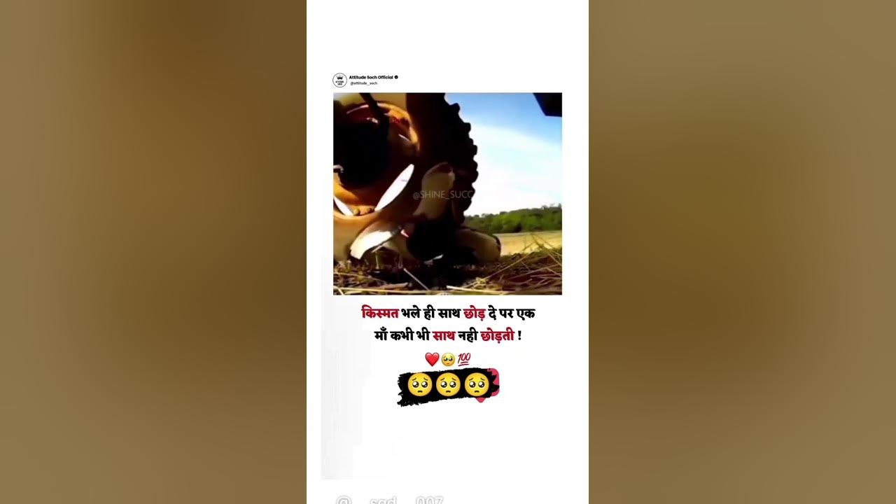 Pure love of mother ️ ️ YouTube
