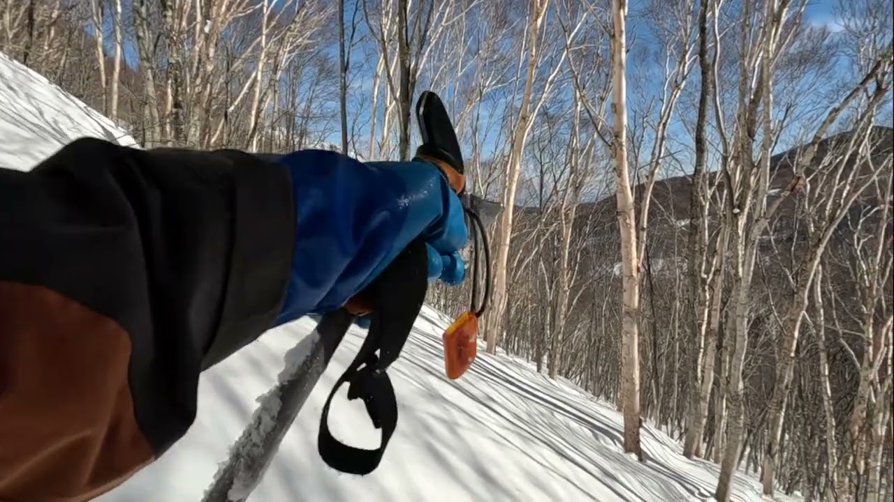 20260221佐渡山・御巣鷹山オリジナル