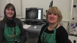 Hoard Conservation Blog - Interview with Intern