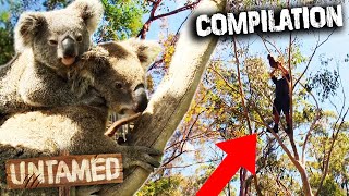 Saving Threatened Animals Compilation ❤️ Endangered Species Day | Untamed