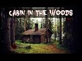 4 Real-Life "Cabin in the Woods" Horror Stories